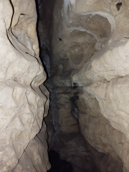Thorey-sous-Charny - grotte de la rd117 - intérieur cavité photo 1, Aurélien Bloch.jpg
Après le porche, on finit par ramper, avant d'accéder à une petite salle remontante, dont la paroi supérieure présente un joli revêtement de calcite. On aperçoit des traces d'une désobstruction passée : genre de seau à l'entrée, et petite bêche au milieu de la galerie.
Fichier manquant